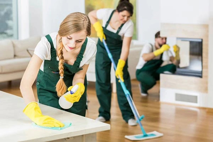 Professional Deep Cleaning in Eau Claire, WI Professional Deep Cleaning in Eau Claire, WI